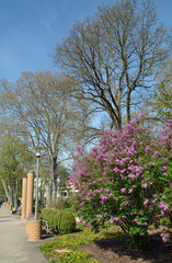 frühling im kurpark bad kreuznach