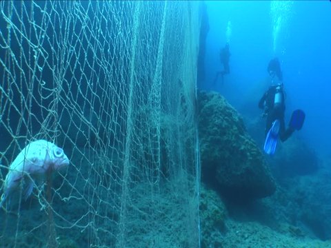 fish net underwater scuba divers getting close dangerous ghost nets ocean scenery
