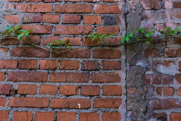 Brick wall - architecture abstract pattern