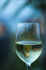 glass of water on a black background