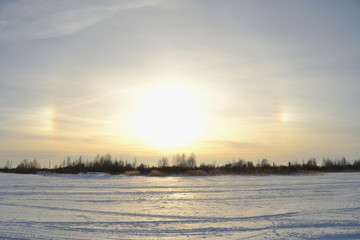 Winter landscape with halo against a bright blue sky, grove and snowy field