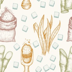 Seamless pattern of sugarcane: cane sugar and sugarcane. Vector hand drawn engraved set illustration.