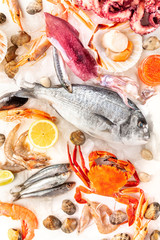 Fish and seafood, a flatlay. Sea bream, squid, prawns, crab, sardines, shot from above on white
