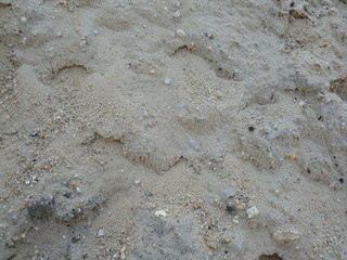 sand texture and background