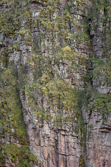 Impressive details of layers of a textured, vertical, rocky cliff covered by colorful moss and grass, lighten by soft sunlight in canyon in Serbia called Small Colorado