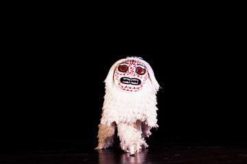 scary halloween ghost