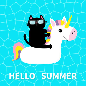 Hello Summer. Swimming pool water. Black cat floating on white unicorn pool float water circle. Top air view. Sunglasses. Lifebuoy. Cute cartoon relaxing character. Flat design.