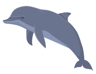 Dolphin in cartoon style. Sea animal isolated on white background.