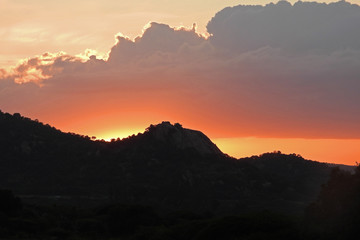 Sunset on a game reserve.