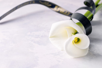 The concept of mourning and death. White fresh flower tied with a black ribbon on a concrete...