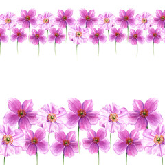Watercolor border from anemone flowers. Hand drawn flowers isolated on white background. Artistic floral element. Botany illustration
