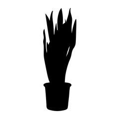 Plant in pot silhouette5