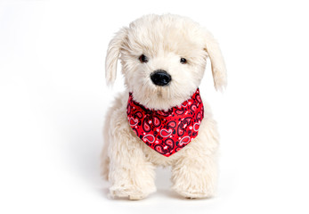Toy dog. White cute puppy on a white background.