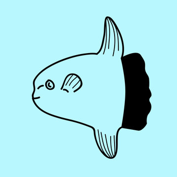 recommend clip art: vector mola mola doodle line icon
