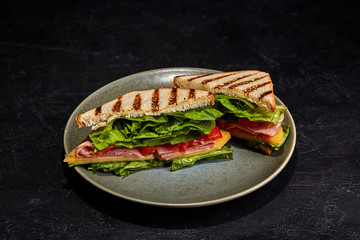 Sandwiches on the plate. Dark background.