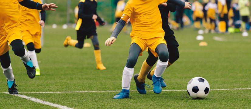 Group of Young Boys in Soccer Sportswear Running and Kicking Ball on the Soccer Grass Field. Low Angle Image of Youth Football Competition with Blurred Stadium Background