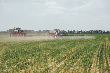 Fototapeta premium chemical treatment of plants to protect against pests using a tractor in the field during the day