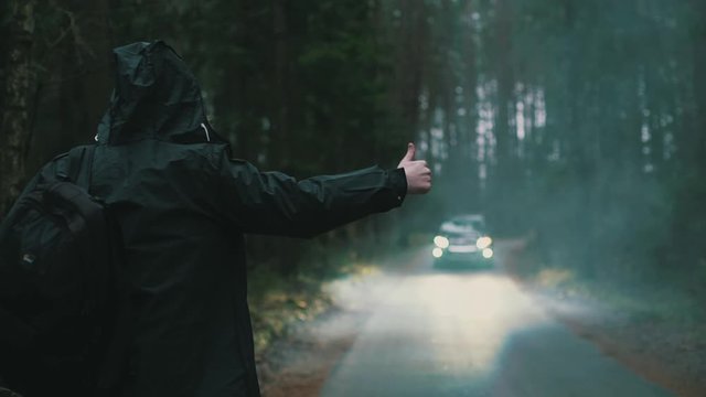 forest fog hitch-hiking road car headlights alone walk nature tourist