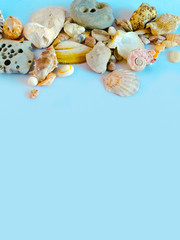 Sea shells and pebbles on a blue background. Summer concept, frame, copy space
