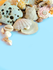 Sea shells and pebbles on a blue background. Summer concept, frame, copy space