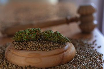 Legality of Medical Cannabis and  Seeds, legal and illegal Cannabis,  Seeds on the World - Wooden judge hammer and sound block with seeds and flower of marijuana CBD on the pinewood table background.