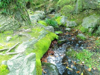 庭園の小川