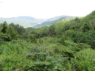 Sierra del Escambray Landscape