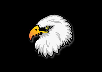 Eagle Head