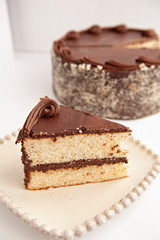 vanilla cake chocolate frosting