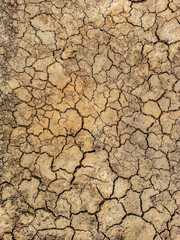 cracked earth background