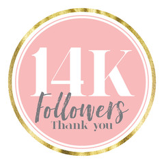 Thank you 14K followers. Pink and gold social media followers banner