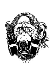 Graphical sketch of monkey in gas mask isolated on white, vector illustration for coloring, typography and tattoo