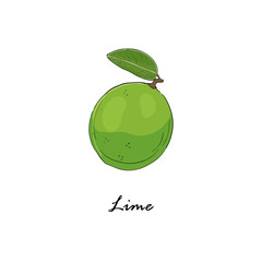 Lime3