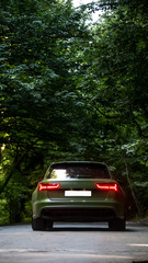 Green sedan with red xenon lights in the forest under green trees