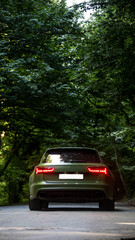 Fototapeta premium Green sedan with red xenon lights in the forest under green trees