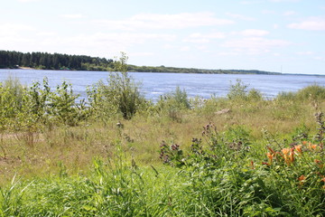 deep river on a summer day