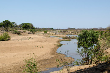 Parc national Kruger, Afrique du Sud