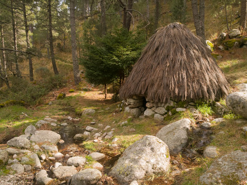Puesto de Cabreros de la Vega de Barbellido, junto al  Nogal del Barranco, en la vertiente sur del Parque Regional de la Sierra de Gredos.
