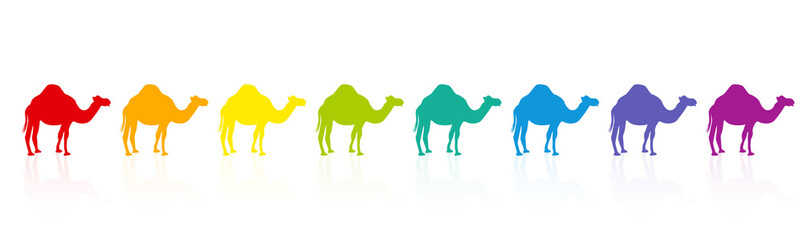 Rainbow colored camel caravan, colorful parade, rainbow spectrum. Funny comic illustration on white background.
