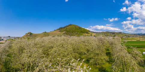 Landscape panorama at Ortenberg with the Ortenberg castle in background