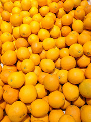 oranges in the market
