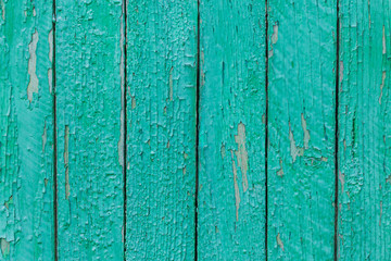 Rustic wood texture or background with scratched turquoise paint.