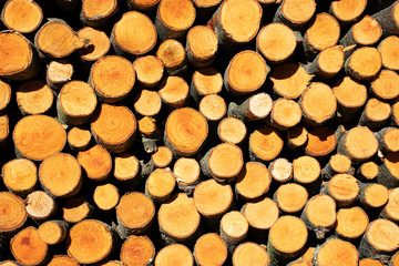 stack of firewood