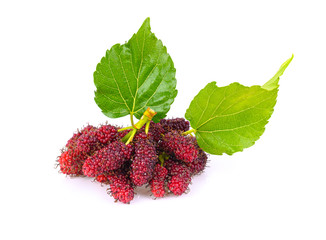 Fresh mulberry with leaf on a white background