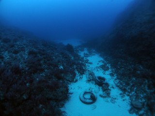 Scuba Diving Malta Gozo Comino