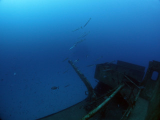 Scuba Diving Malta Gozo Comino