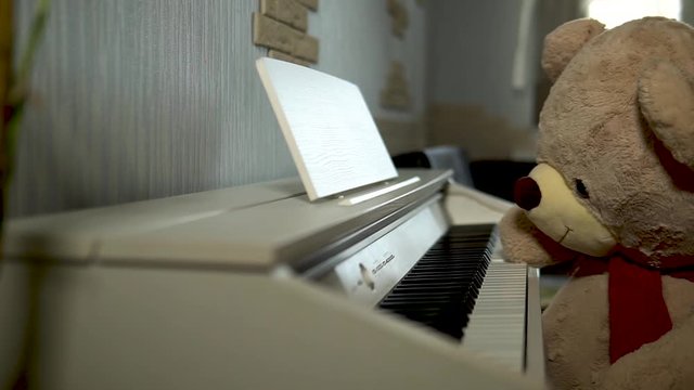 Teddy Bear plays the piano with one hand, piano bula in the apartment