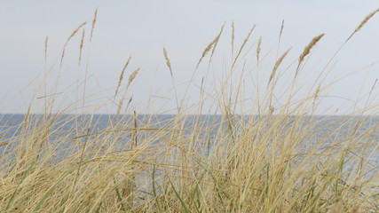 Landscape Baltic Sea