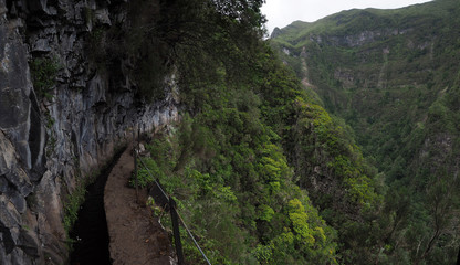 Fototapeta na wymiar Levada do Caldeirao Verde, Madeira