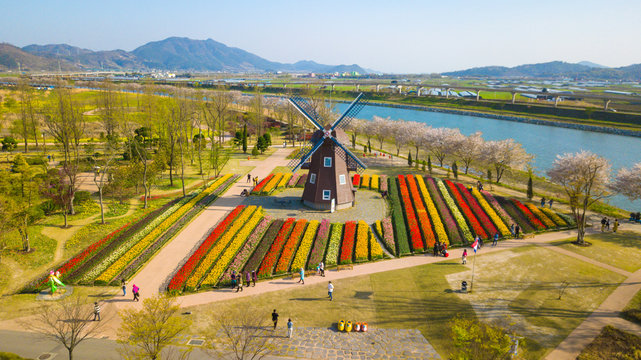 Aerial View of Suncheonman Bay National Garden located in Suncheon city,Jeonnam-do of South Korea